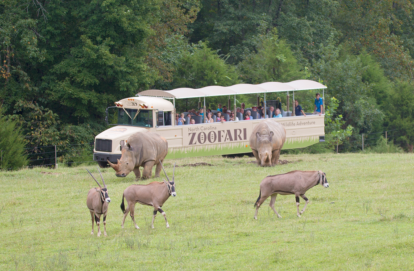 NC Zoo Holding Job Fair Tuesday | wfmynews2.com